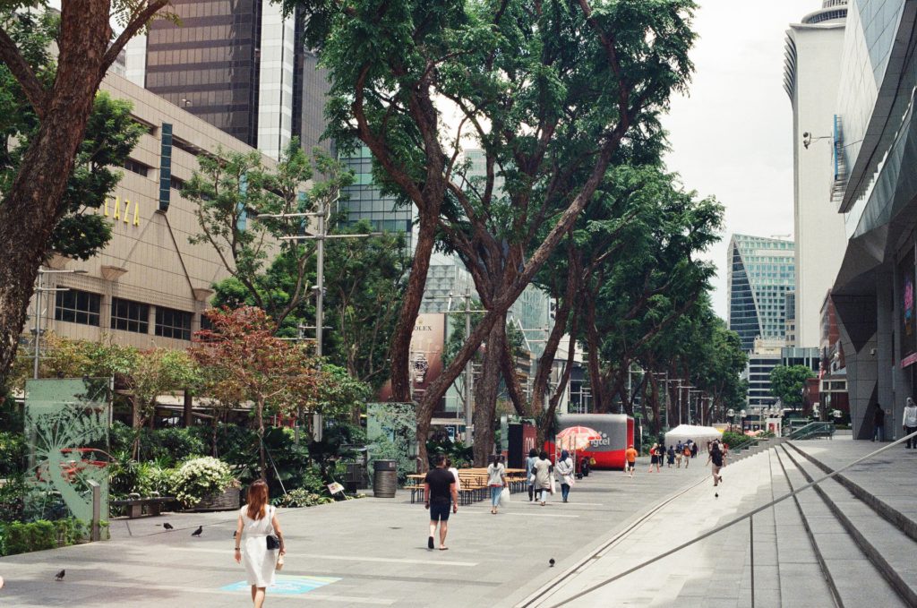 Orchard Road